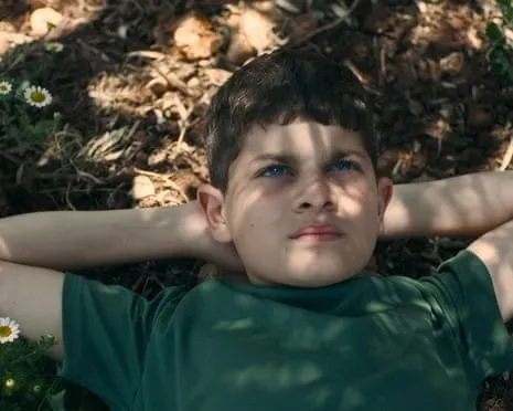 Israel's Minister of Culture Vows to Withdraw National Film Awards After Palestinian Story Movie Takes Best Feature
