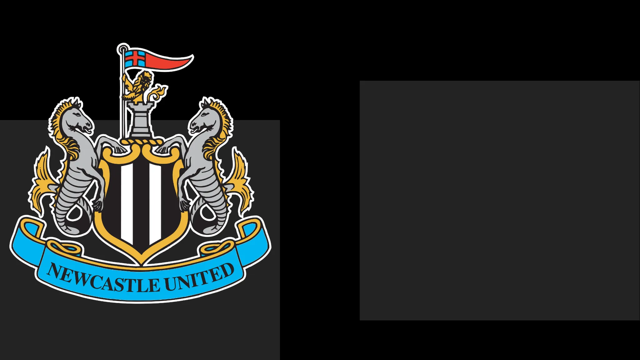 Newcastle's boss Praises Team's Heart – However It Only Takes Them To a Point