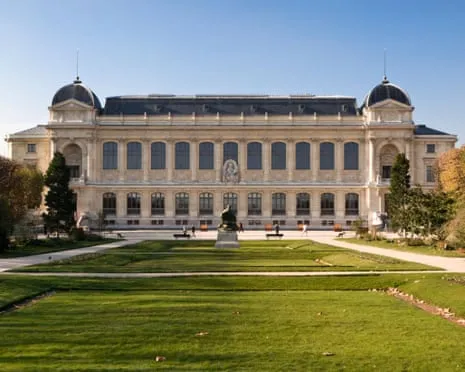Priceless Golden Specimens Stolen in Audacious Raid at French Natural History Museum